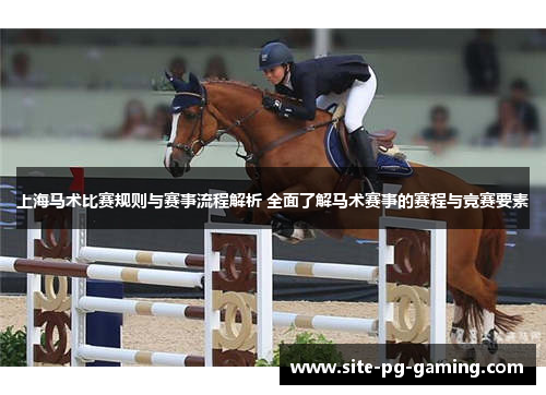 上海马术比赛规则与赛事流程解析 全面了解马术赛事的赛程与竞赛要素 上海马术比赛规则与赛事流程解析 全面了解马术赛事的赛程与竞赛要素