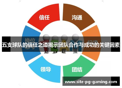 五支球队的信任之道揭示团队合作与成功的关键因素