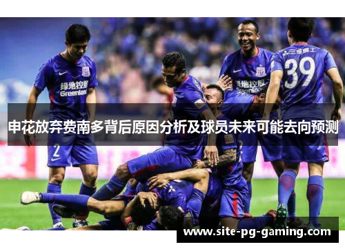 申花放弃费南多背后原因分析及球员未来可能去向预测