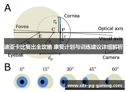 迪亚卡比复出全攻略 康复计划与训练建议详细解析