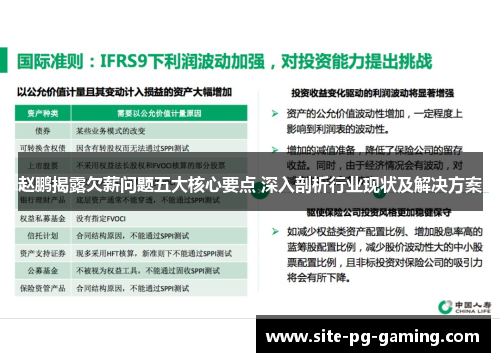 赵鹏揭露欠薪问题五大核心要点 深入剖析行业现状及解决方案