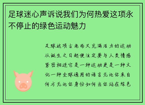足球迷心声诉说我们为何热爱这项永不停止的绿色运动魅力