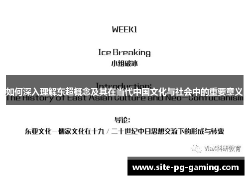 如何深入理解东超概念及其在当代中国文化与社会中的重要意义