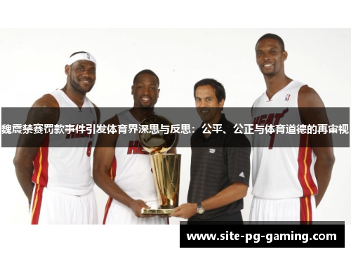 魏震禁赛罚款事件引发体育界深思与反思：公平、公正与体育道德的再审视