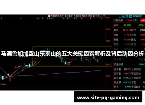 马德鲁加加盟山东泰山的五大关键因素解析及背后动因分析